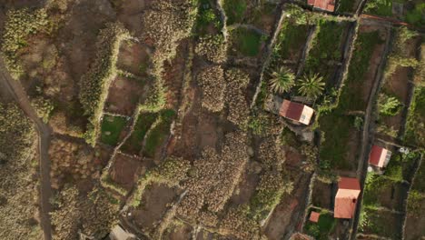 farmland divided by hedges creating block pattern at calhau das achadas