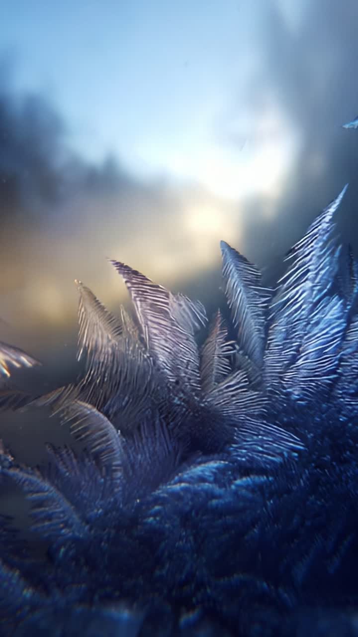 En fredfyldt vintermorgen: Den fine skønhed af frostklædte blade, der glimter i det tidlige lys, indfanger naturens kunstneriske udtryk i is og farver mod en drømmeagtig baggrund af bløde nuancer