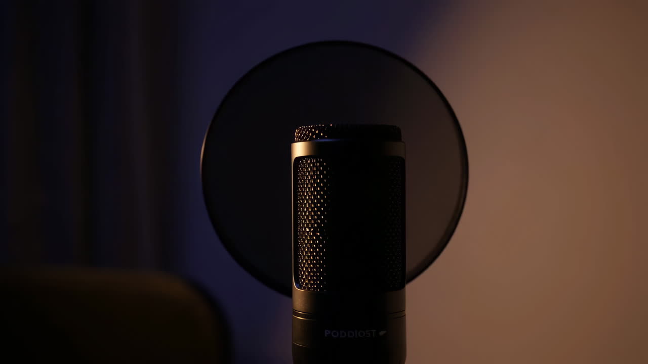 Professional Studio Microphone with Pop Filter