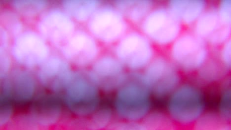 color de fondo