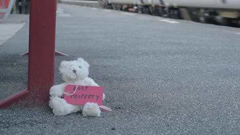 Teddy-Auf-Bahnsteig-Liegengelassen-Zug-Rauscht-An-Weitschuss-Vorbei