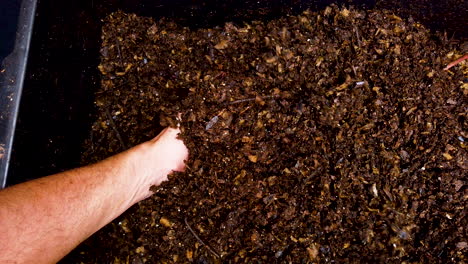 mixing compost to aerate and decompose food scraps