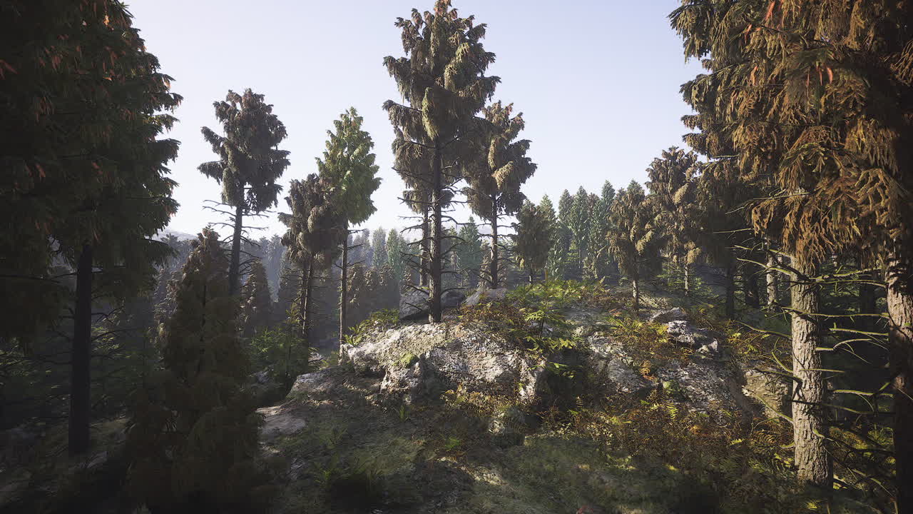 Lush forest landscape in alaska during broad daylight with towering trees