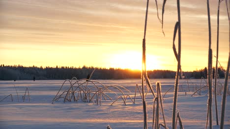 low angle slide left of sunrise or sunset over frozen lake, frosty grass