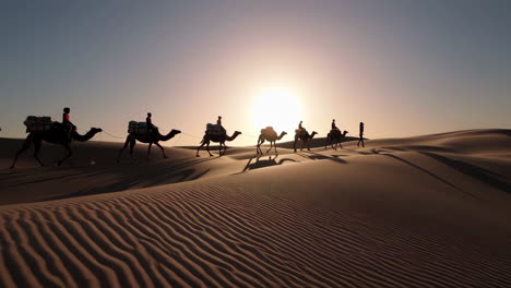 camel caravan in the desert at sunset