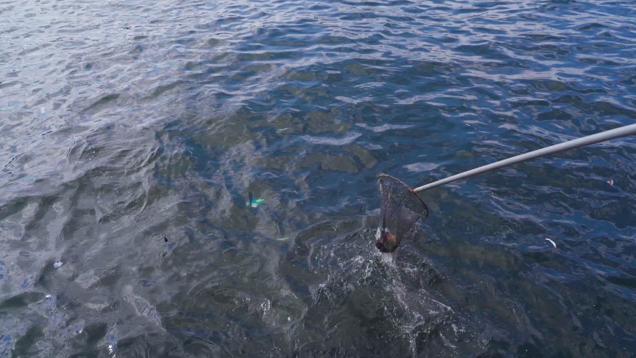 환경 오염, 해양 오염.