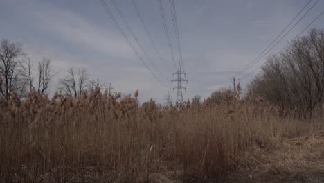 immense electricity transmission poles under a magnificently beautiful sky. on the ground, spring vegetation sways gently in the soft wind.