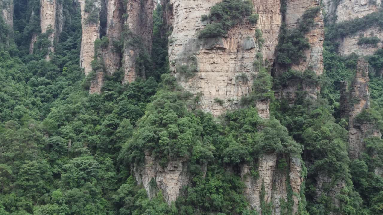 Slow Aerial Rise Above The Scenic Forests Of Avatar's Heavenly Pillars &amp;quot;Hallelujah Mountain&amp;quot; In Zhangjiajie National Park, China