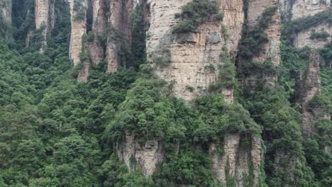 Lento-Ascenso-Aéreo-Sobre-Los-Pintorescos-Bosques-De-Los-Pilares-Celestiales-De-Avatar-&quot;Montaña-Aleluya&quot;-En-El-Parque-Nacional-Zhangjiajie,-China