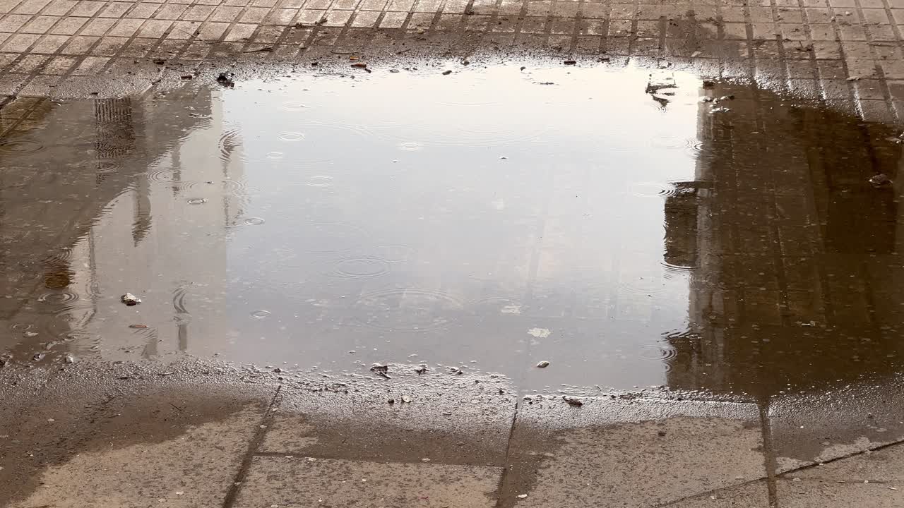 puddle on a cobblestone alley during the rain