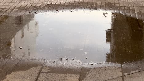 puddle on a cobblestone alley during the rain