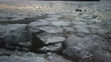 Exterior-shot-of-a-family-of-ducks-finding-their-way-through-thick-ice-floes-in-Lake-Ontario