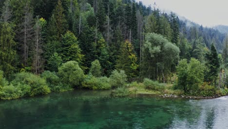 serene mountain lake and forest landscape
