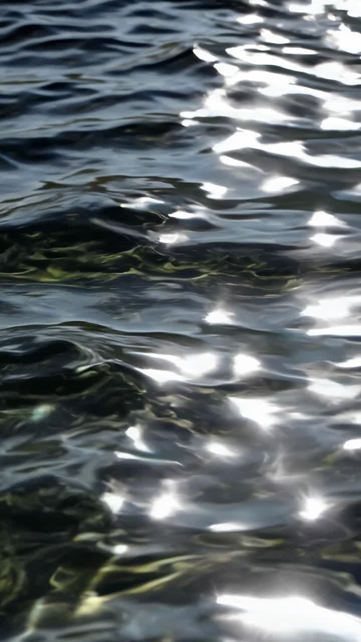 Close-up video of shimmering water surface with sunlight reflections