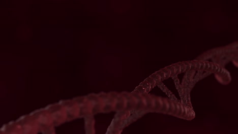 las hebras de doble hélice de adn se elevan lentamente - animación científica en 3d