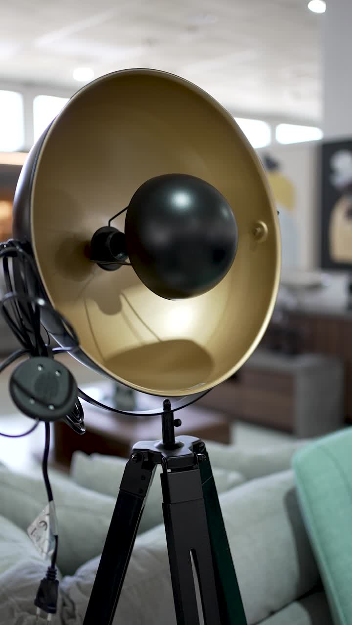 A beautifully designed gold and black lamp stands on a tripod in a stylish living room. This modern piece adds elegance and sophistication to the decor