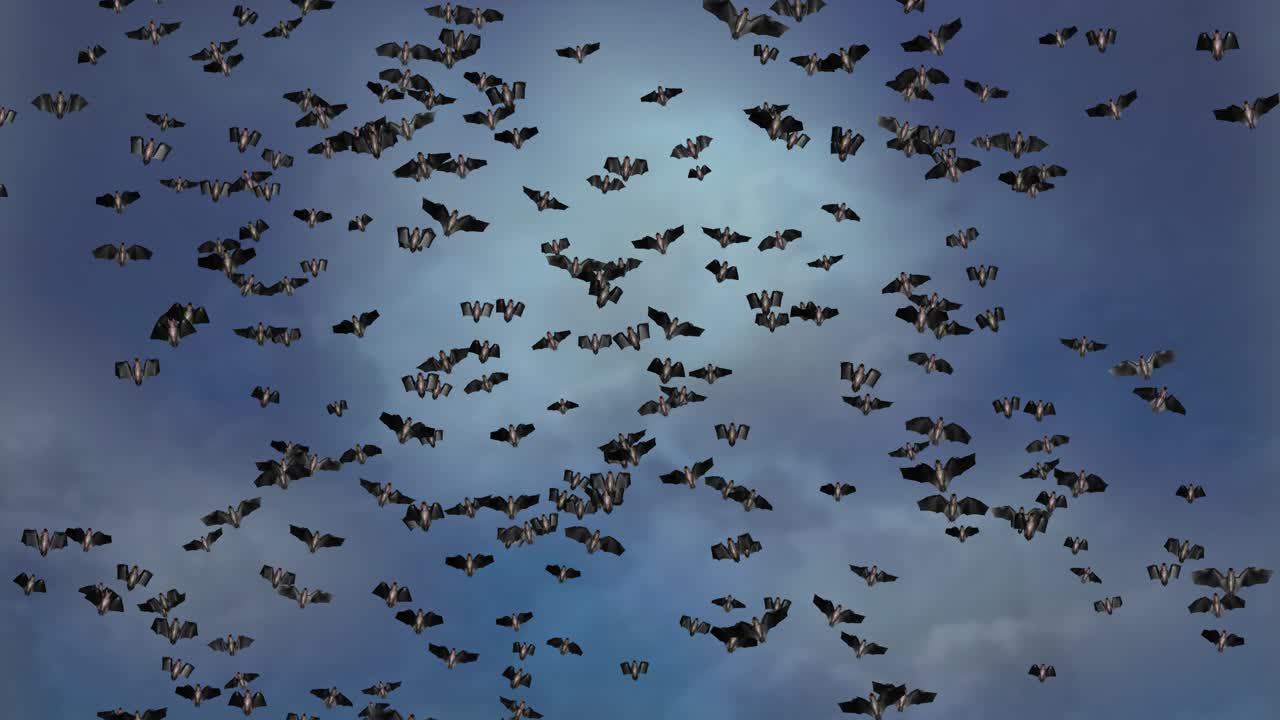 Loop animation of bats flying everywhere flock of bats flying halloween bats effect 4k green screen
