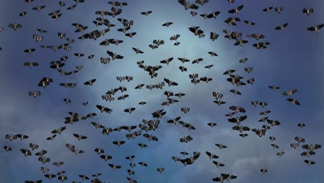 loop animation of bats flying everywhere flock of bats flying halloween bats effect 4k green screen