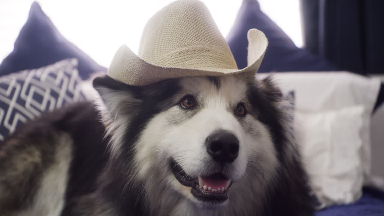 안 ⁇ 하세요,  ⁇ 선 사람!