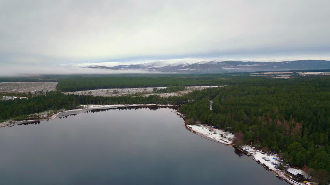hacia adelante vuela sobre la superficie de aguas tranquilas en un lago rodeado de bosques