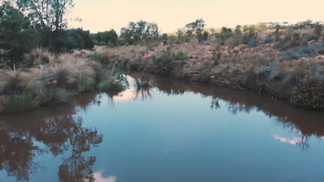 pequeño río con orillas cubiertas de hierba en la sabana africana, tiro de muñeca hacia adelante
