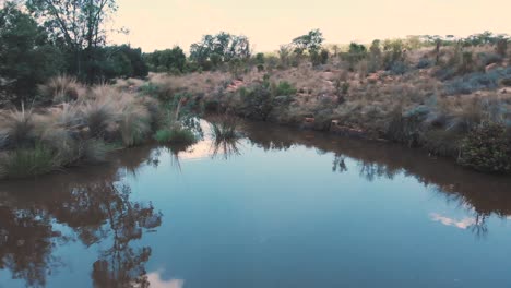 Small-river-with-grassy-shores-in-african-savannah,-forward-dolly-shot