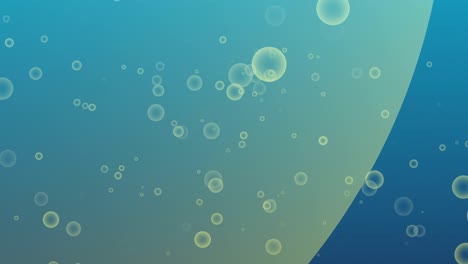 abstract animated bubbles in background