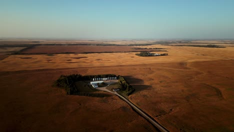 High-up-Aerial-Drone-Orbit-Blue-Sky-Over-Small-Enclosed-Farm-Home-in-the-Middle-of-Vast-Harvest-Blooming-Canadian-Agriculture-Farmland-Fields