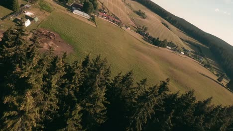 imágenes de vuelo dinámicas de drones de carreras moviéndose rápidamente entre las copas de los árboles de un hermoso bosque de abetos en sihla, eslovaquia central