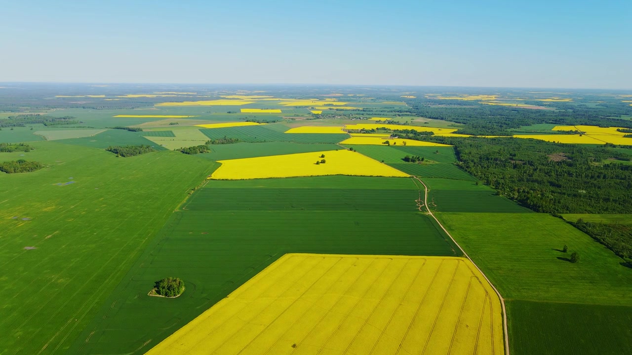 Wide aerial panorama of Baltic farmland showcasing vibrant crops and nature
