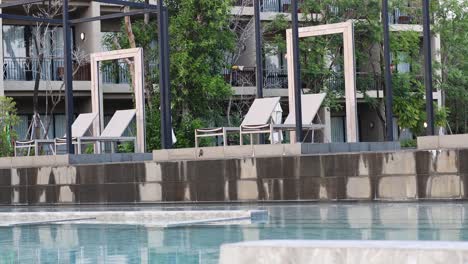 poolside view with lounge chairs and greenery