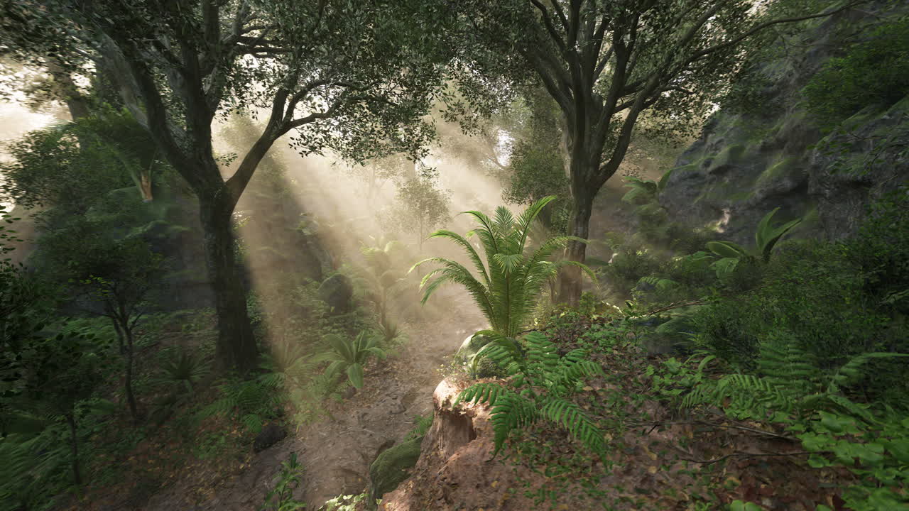 Sunlight filters through the trees in a lush forest during early morning hours