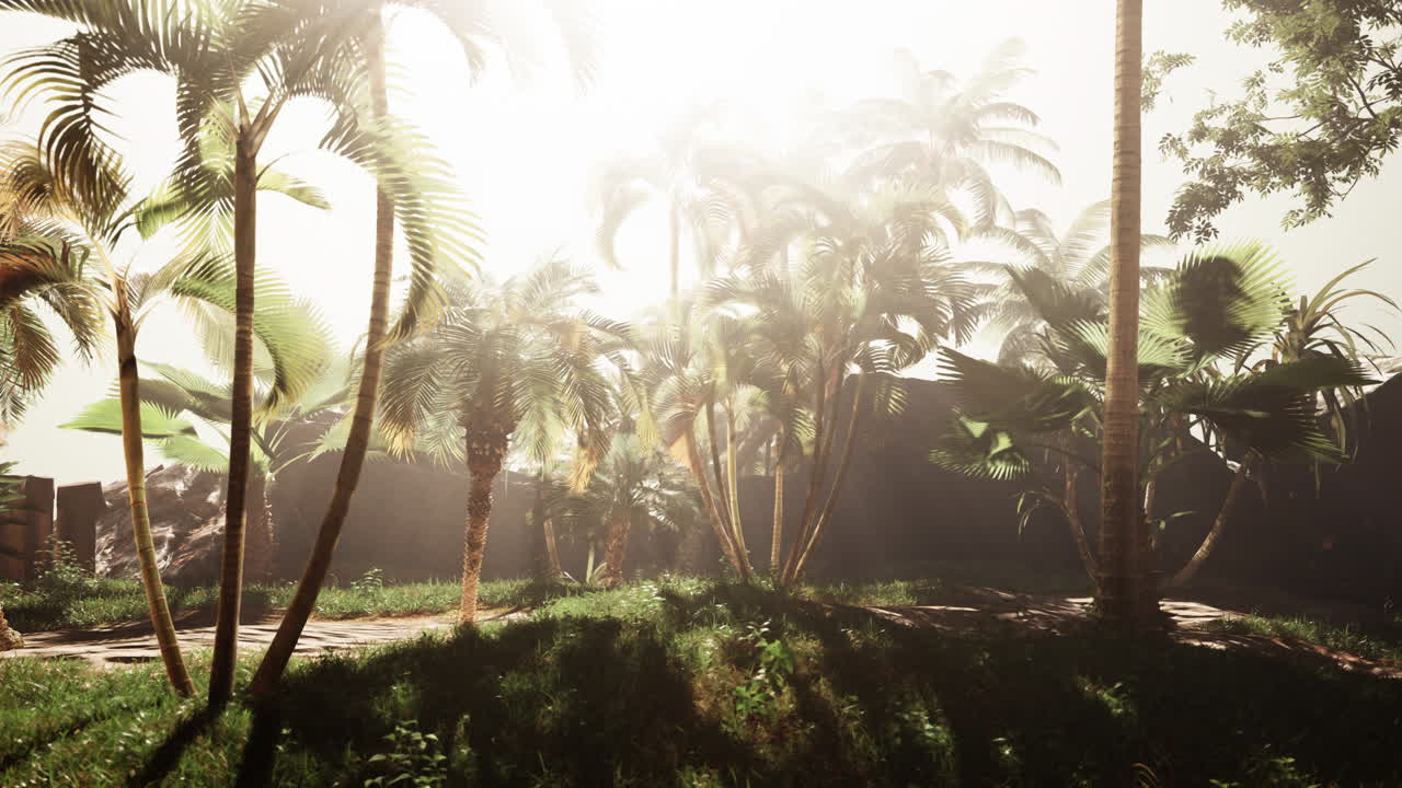 el sereno paraíso tropical: el soleado palmeral