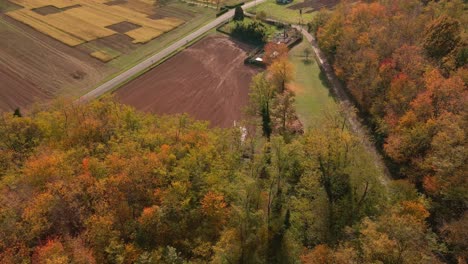 Spectacular-view-from-the-forest-with-colorful-trees-to-the-agricultural-fields-during-a-sunny-day-in-autumn-in-northern-Italy---Aerial-cinematic-shot