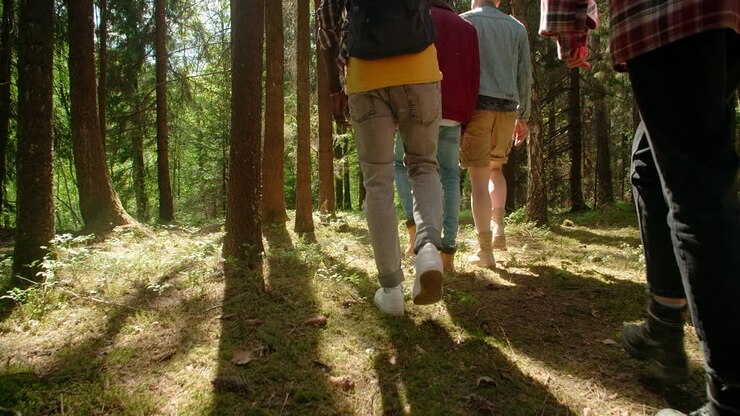 友達が森でハイキングをしている