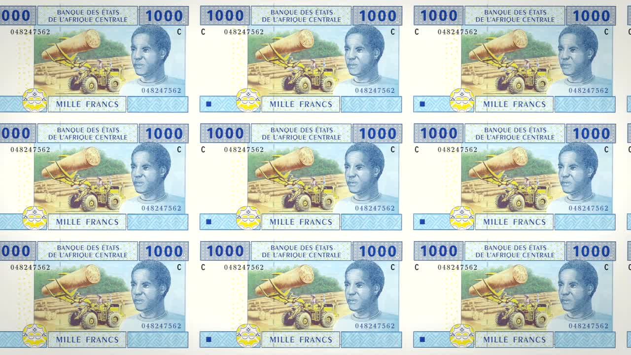 1000 중앙아프리카 cfa 프랑의 지폐, 롤링, 현금, 루프
