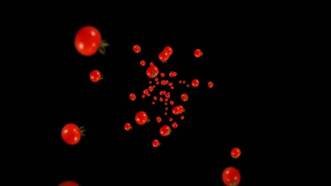 flying many fresh tomatoes on black background. organic vegetables. ripe juicy cherry tomatoes. 3d loop animation of tomato rotating.