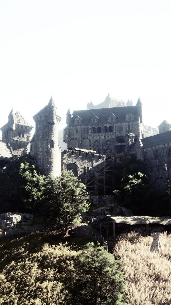 숲 속 의 오래된 돌 성