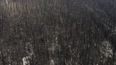 Pérdida-Y-Destrucción-Masiva-De-Hábitats-Después-De-Devastadores-Incendios-Forestales,-Aéreos