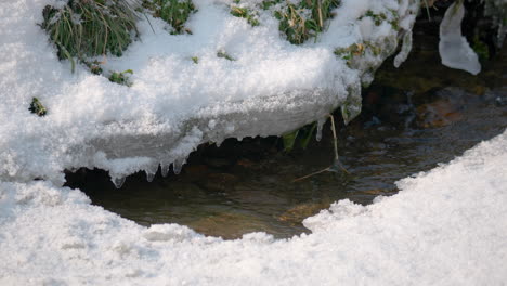 arroyo cubierto de nieve con carámbanos durante el invierno