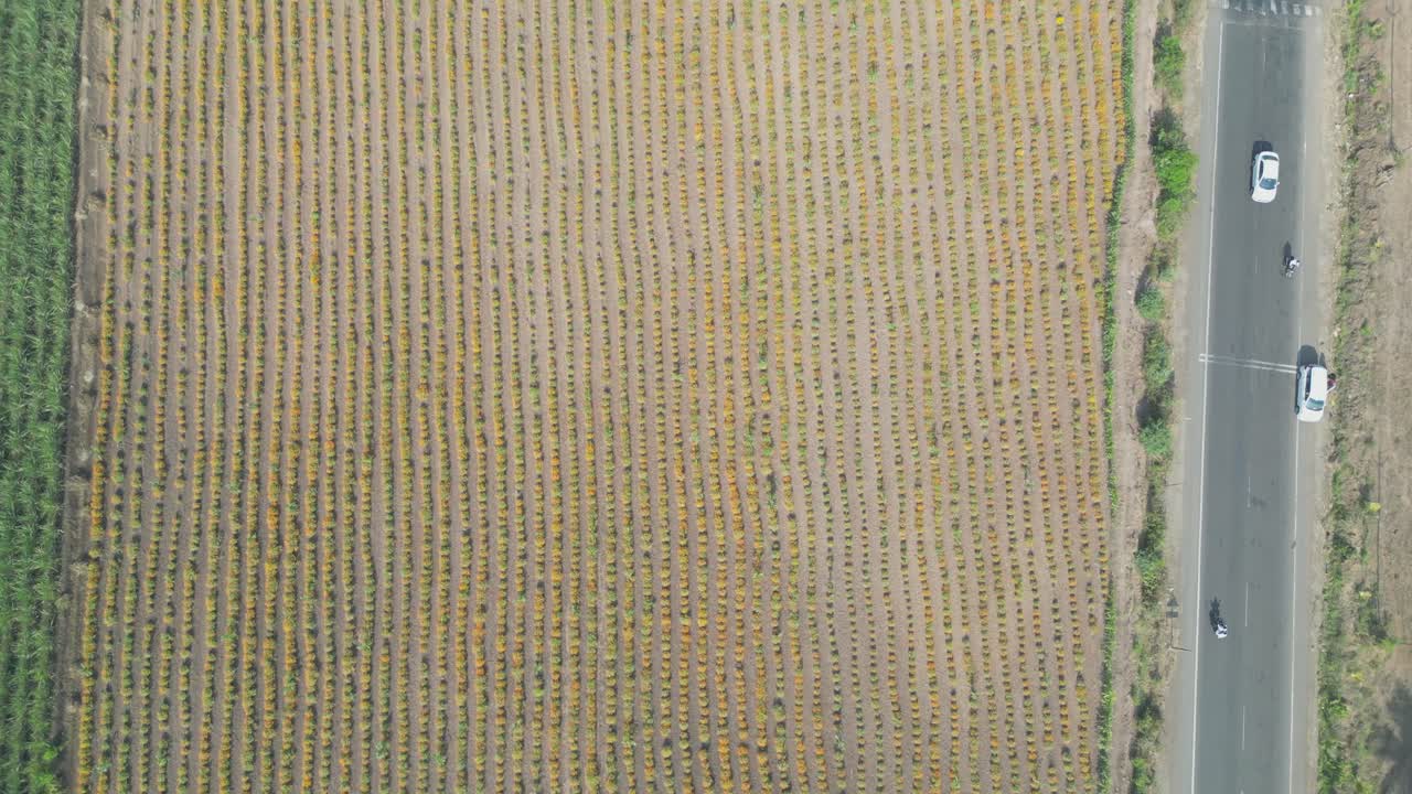 campo de cultivos de satara a la autopista de aundh vista de avión no tripulado