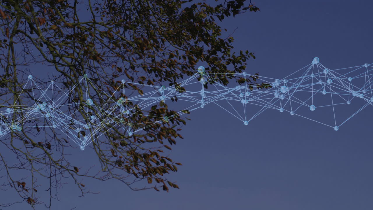 Abstract digital network overlaying blue sky, showing glowing nodes connecting tree branches