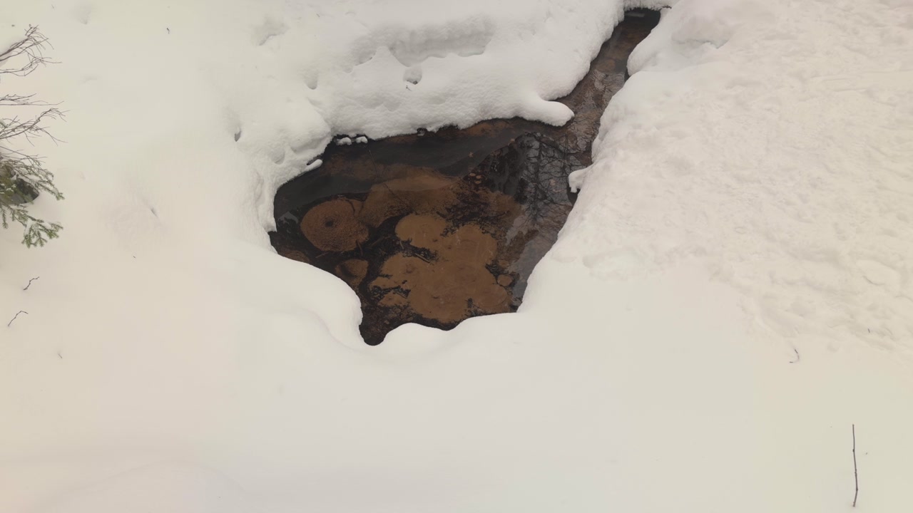 Transparent Water in Spring in Snowy Forest in Wintertime Close Up