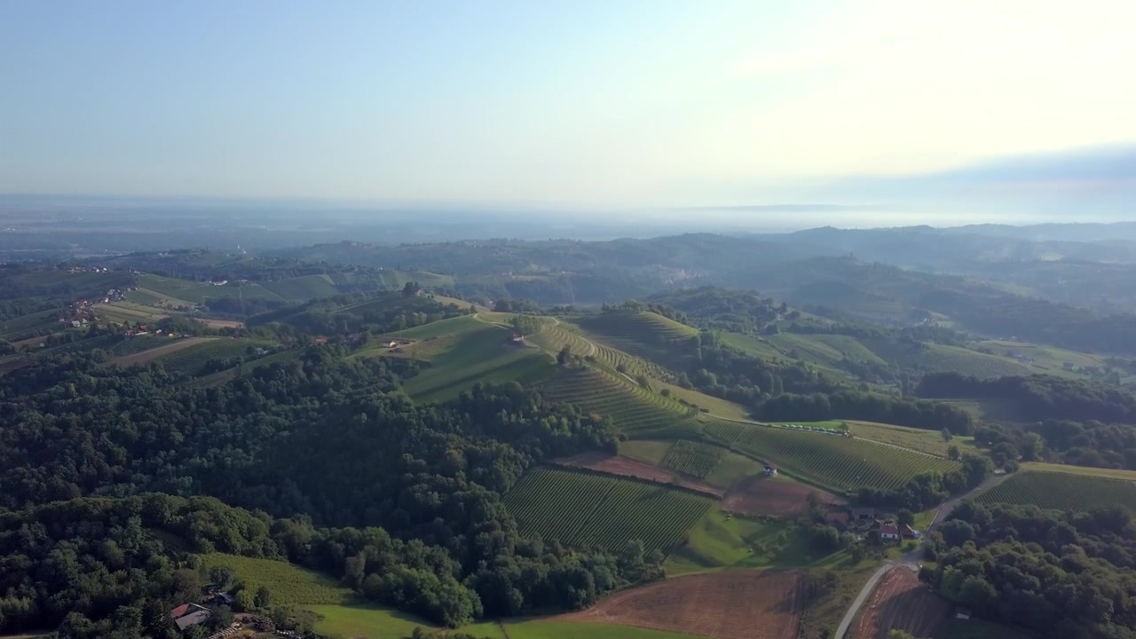 Splendido video aereo con drone che cattura ampie colline ondulate, vigneti lussureggianti e paesaggi rurali nella luce dorata del mattino con ampie vedute panoramiche.