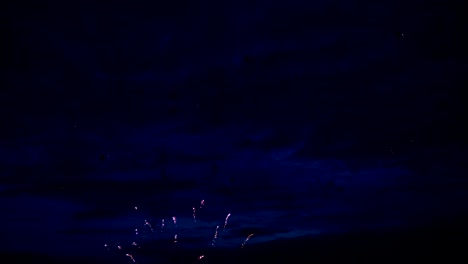 firework on evening sky