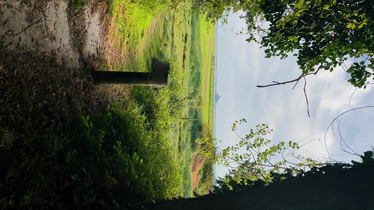 노르망디의 데파트망 망슈(département manche)에 있는 녹색 농경지 위에 있는 르 몽생 미셸(le mont saint michel)의 아름다운 전망