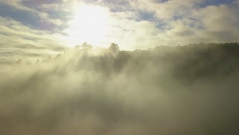 Aerial-shot-of-misty-rainforest-sun-rays-filtering-through-humid-cloudy-treetops