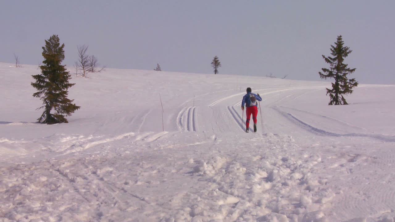 los esquiadores de fondo se mueven a través de un paisaje nevado en noruega 1