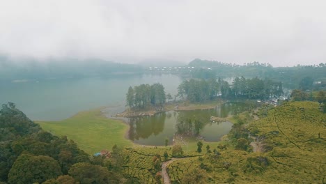 lake with mountain and pine forest tea field
