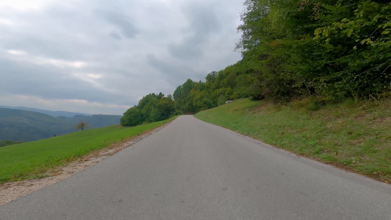 화창한 가을날 혼합 숲을 통해 빈 아스팔트 도로에서 운전